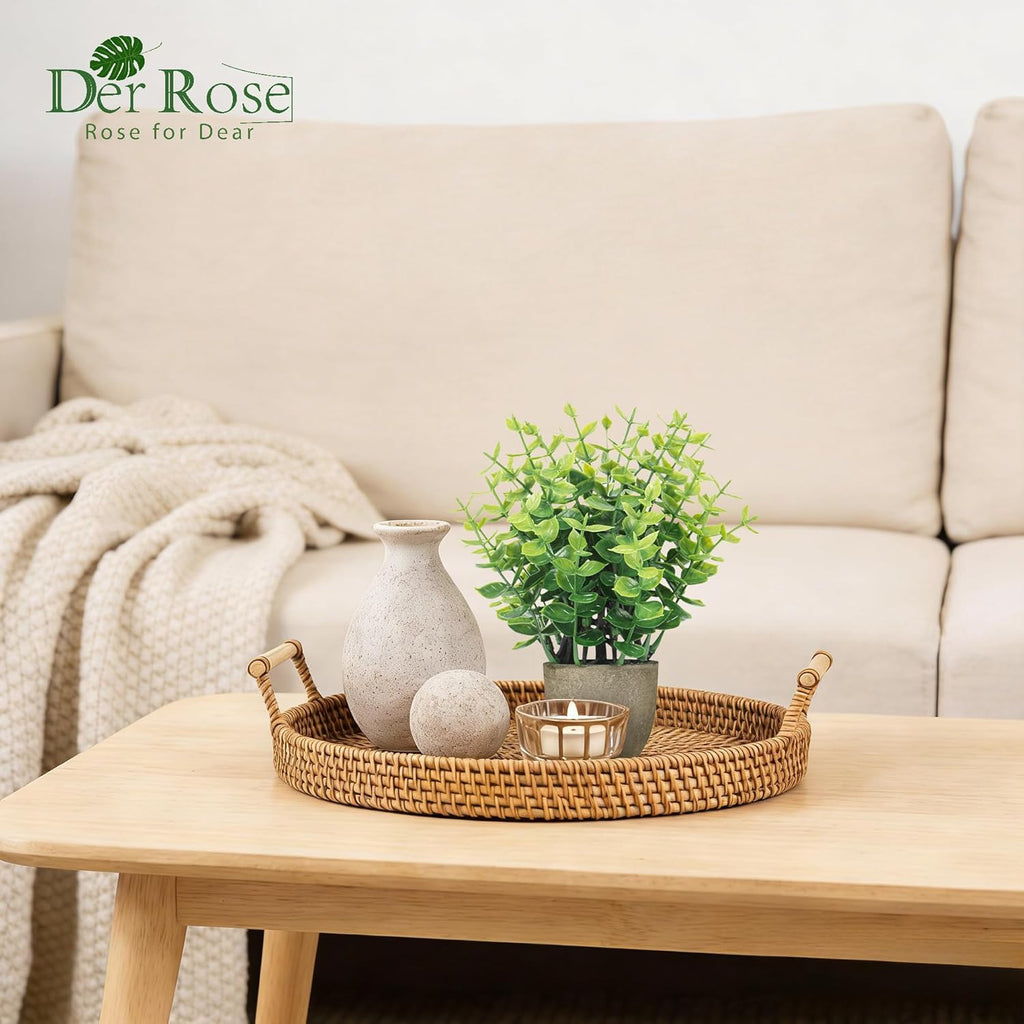 Farmhouse Black Artificial Plant - View 4