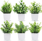 Green Faux Plant — Green