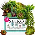Artificial Plant — 14 pack