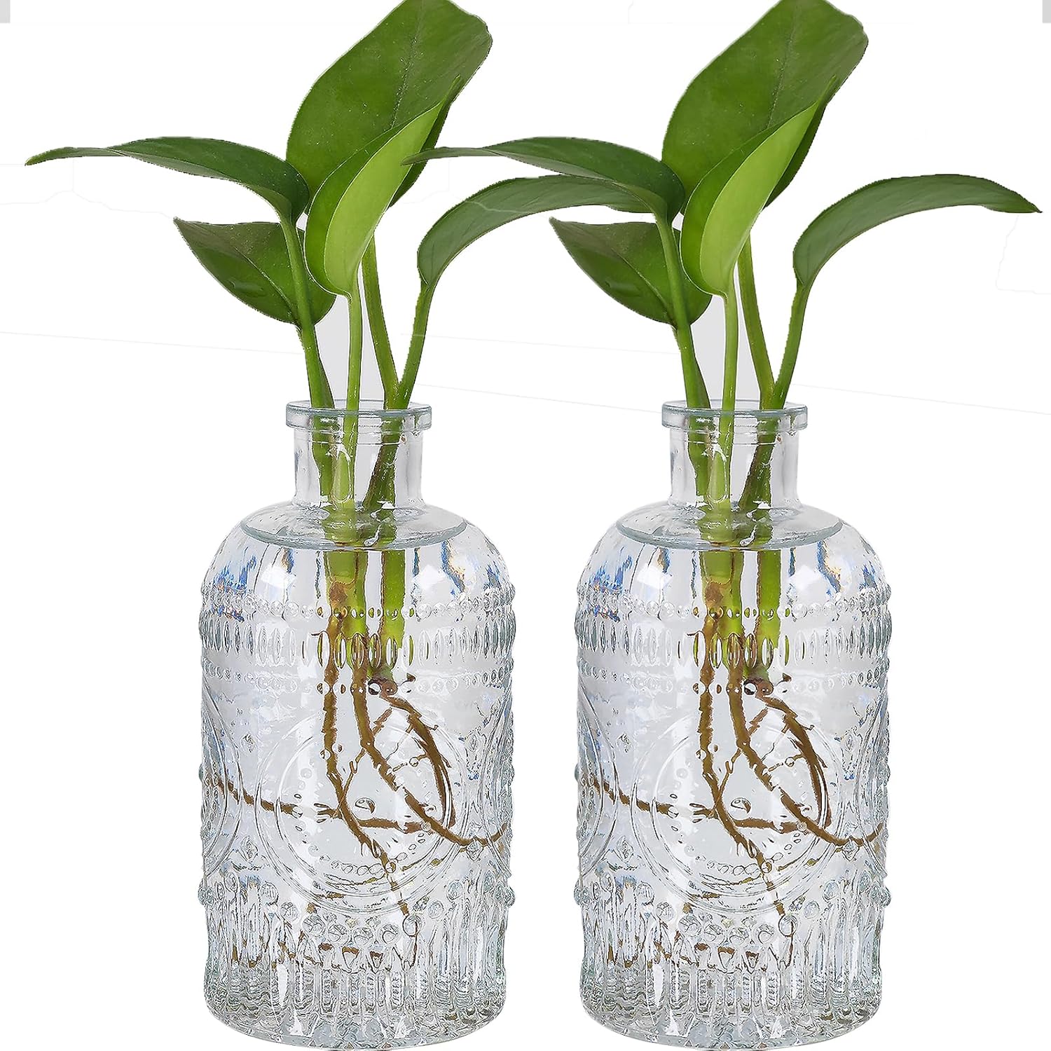 Glass Vase — 2