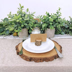 Farmhouse Wood Artificial Plant — Set of 2 - View 7
