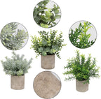 Wood Artificial Plant — 8.3" - View 3