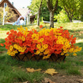 Orange Artificial Plant — Autumm