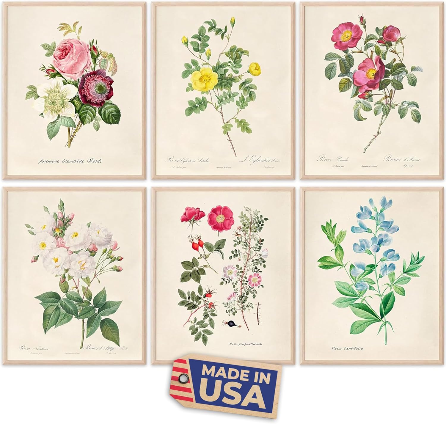 Unframed Wall Art Print — 8x10 — Vintage Roses