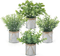 Farmhouse Black Artificial Plant — 6" — Grey