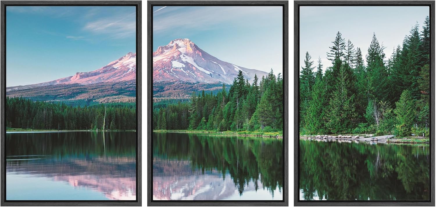 Framed Mid-Century Red Wall Art — 24" — 16" x 24" x 3 Panels BLACK