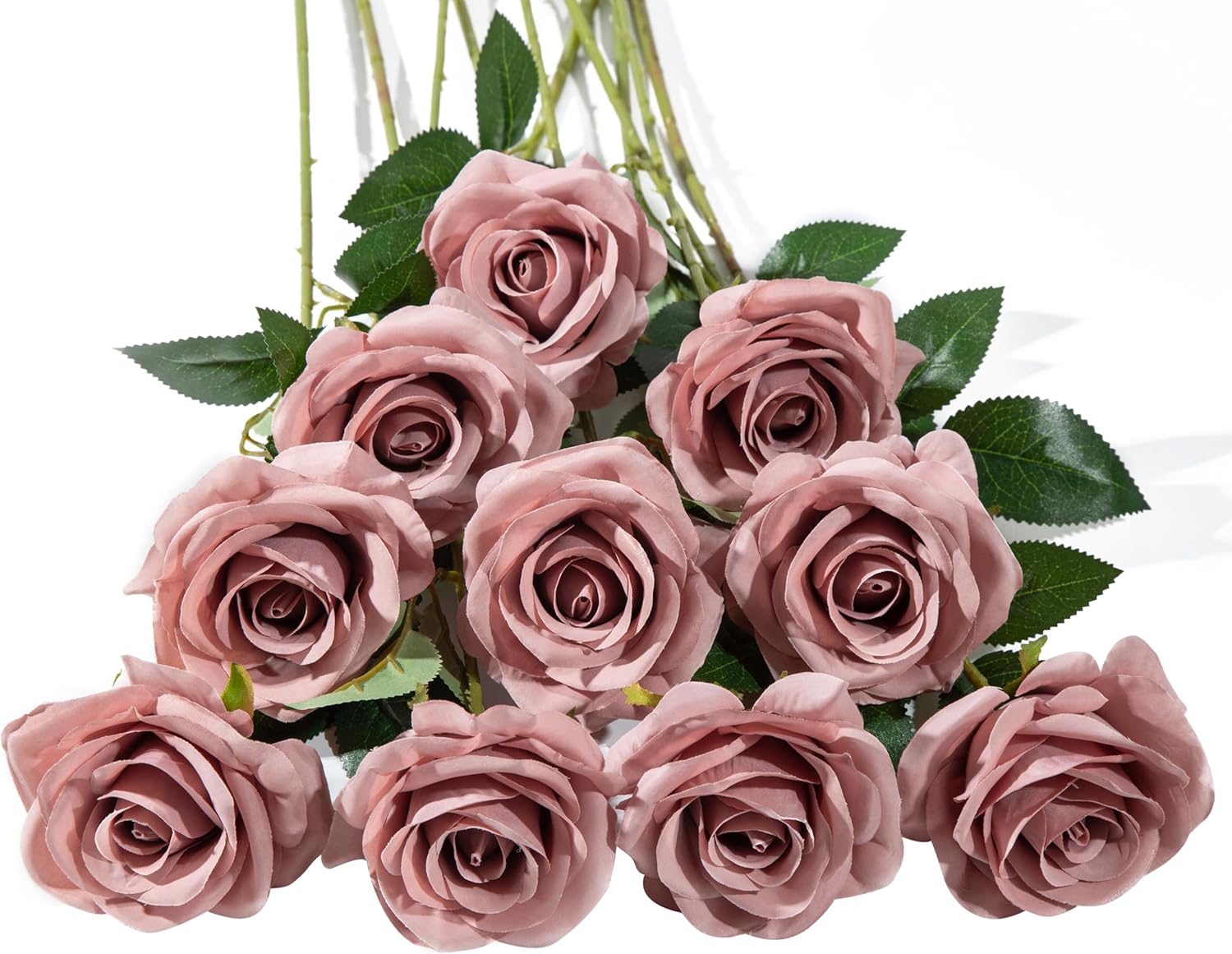 Black Artificial Plant — Dusty Rose