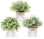 Farmhouse Black Artificial Plant — 3"