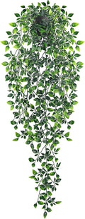 Artificial Plant — 34" — 34"-Fake Mandala