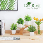 Faux Plant - View 4