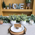 Modern Black Artificial Plant — 7.1" - View 3