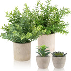 Farmhouse Black Faux Plant — 10"