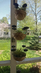 Metal Faux Succulent - View 5