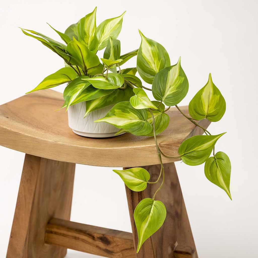 Farmhouse Ceramic Artificial Plant — 5" - View 6
