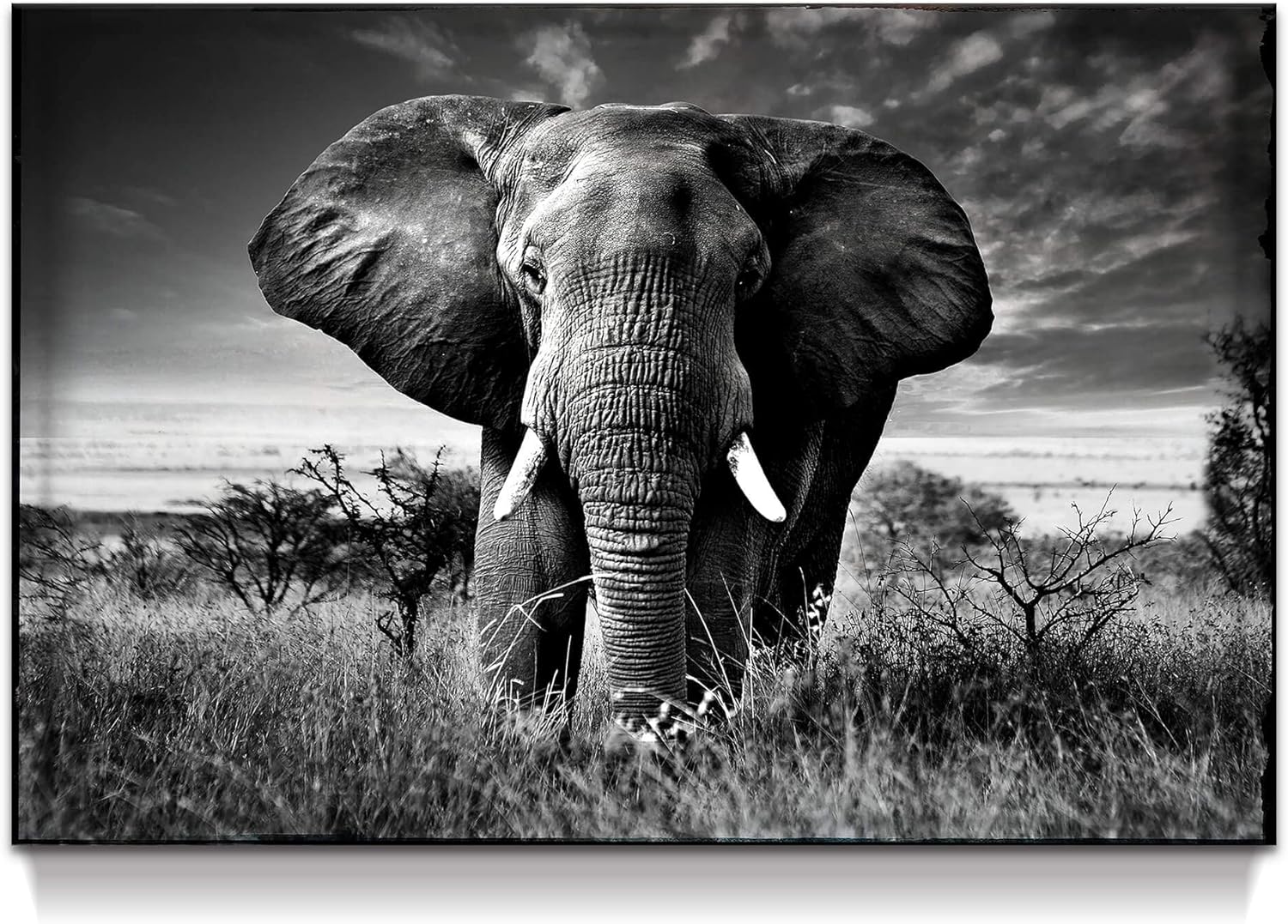 Farmhouse Black Wall Art — 16" — African Elephant