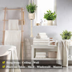 Boho Green Artificial Plant - View 5