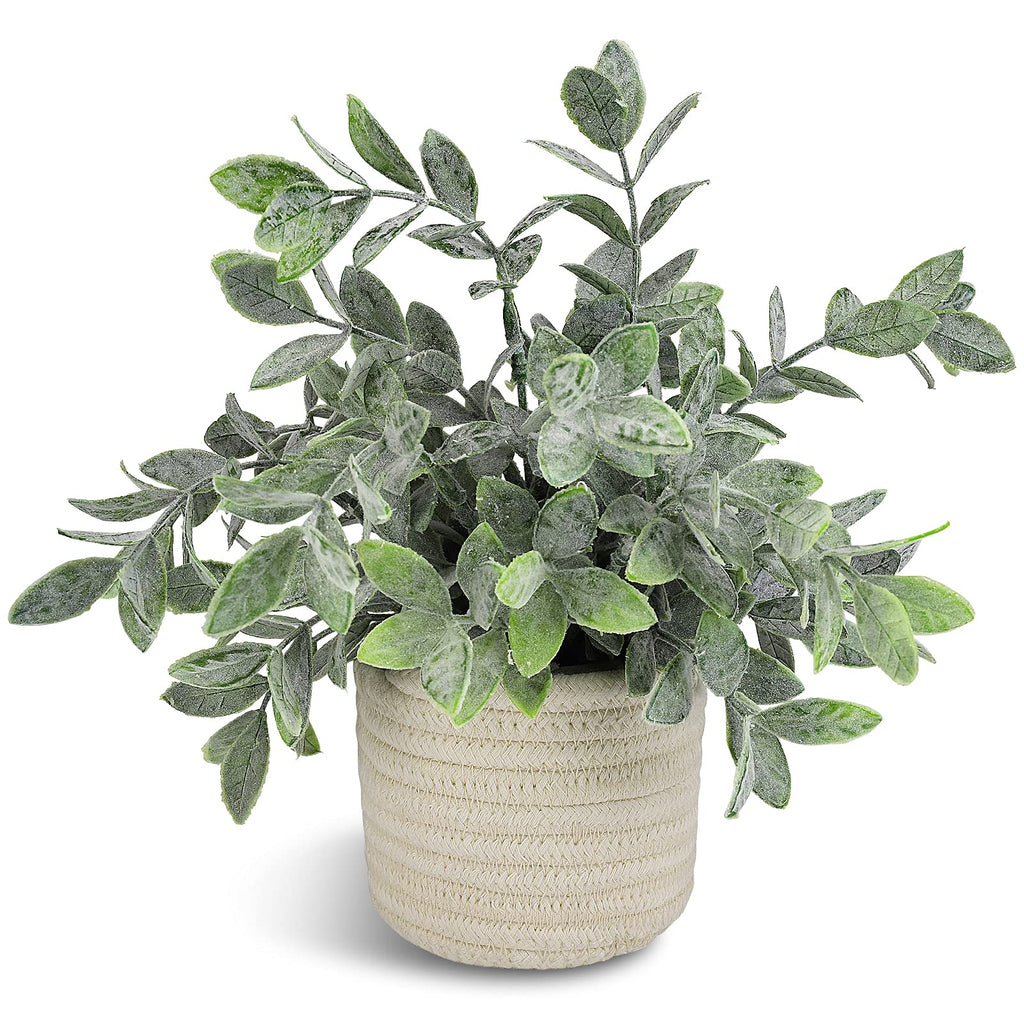 Farmhouse Green Faux Plant — 8"