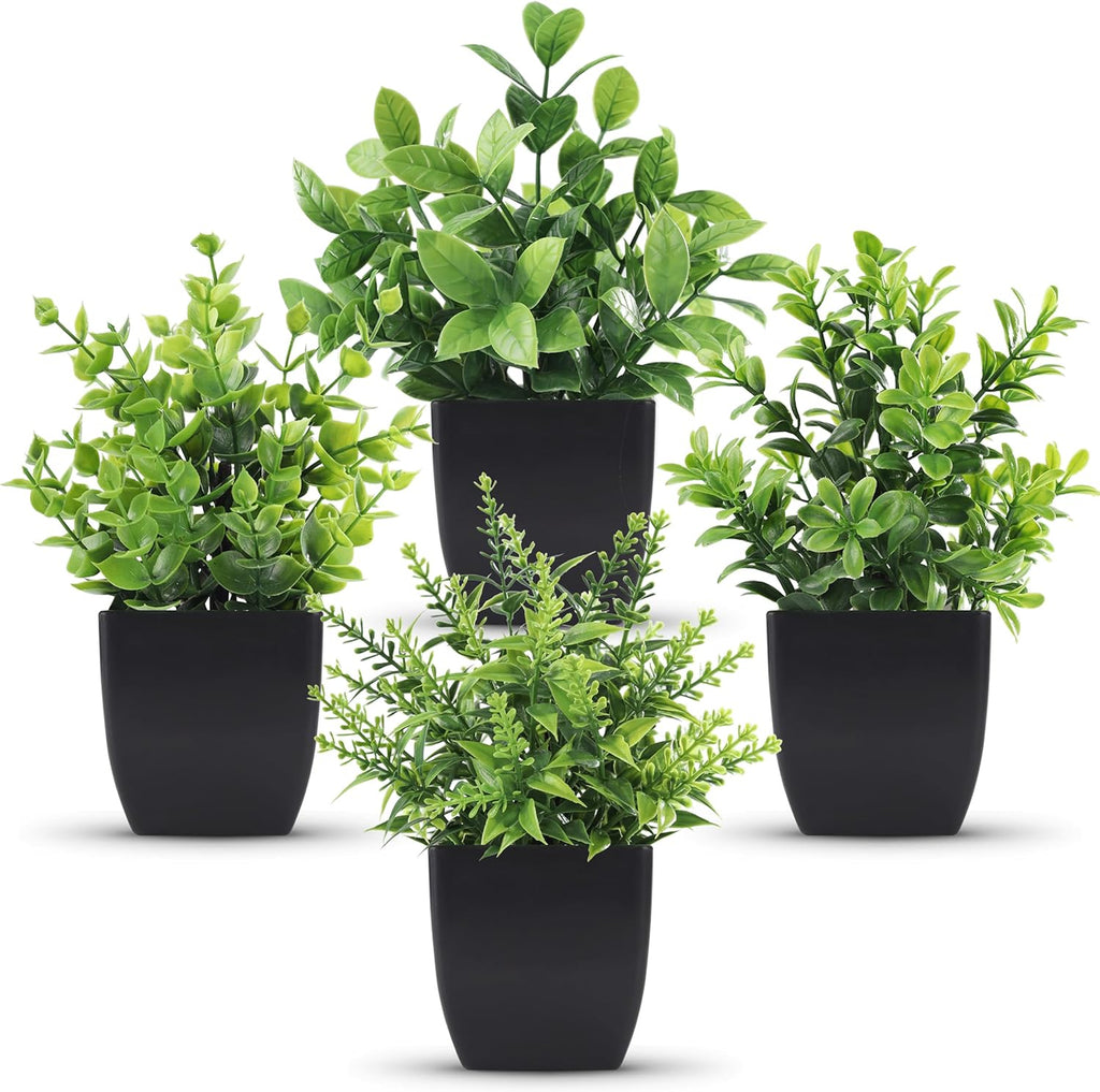 Faux Plant — 4