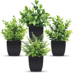 Faux Plant — 4
