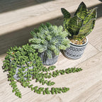 Modern Artificial Plant - View 8