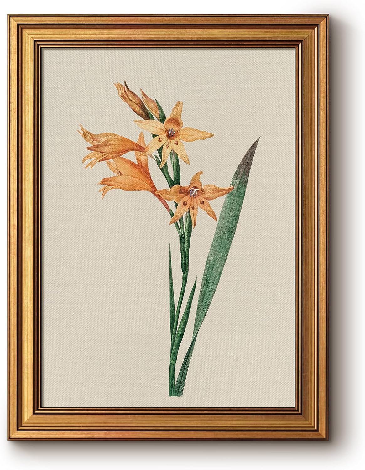 Framed Luxe Blue Wall Art — 16" — Gladiolus Yellow Flower