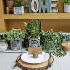 Modern Artificial Plant - View 3