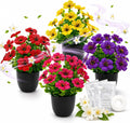 Black Artificial Plant — Black
