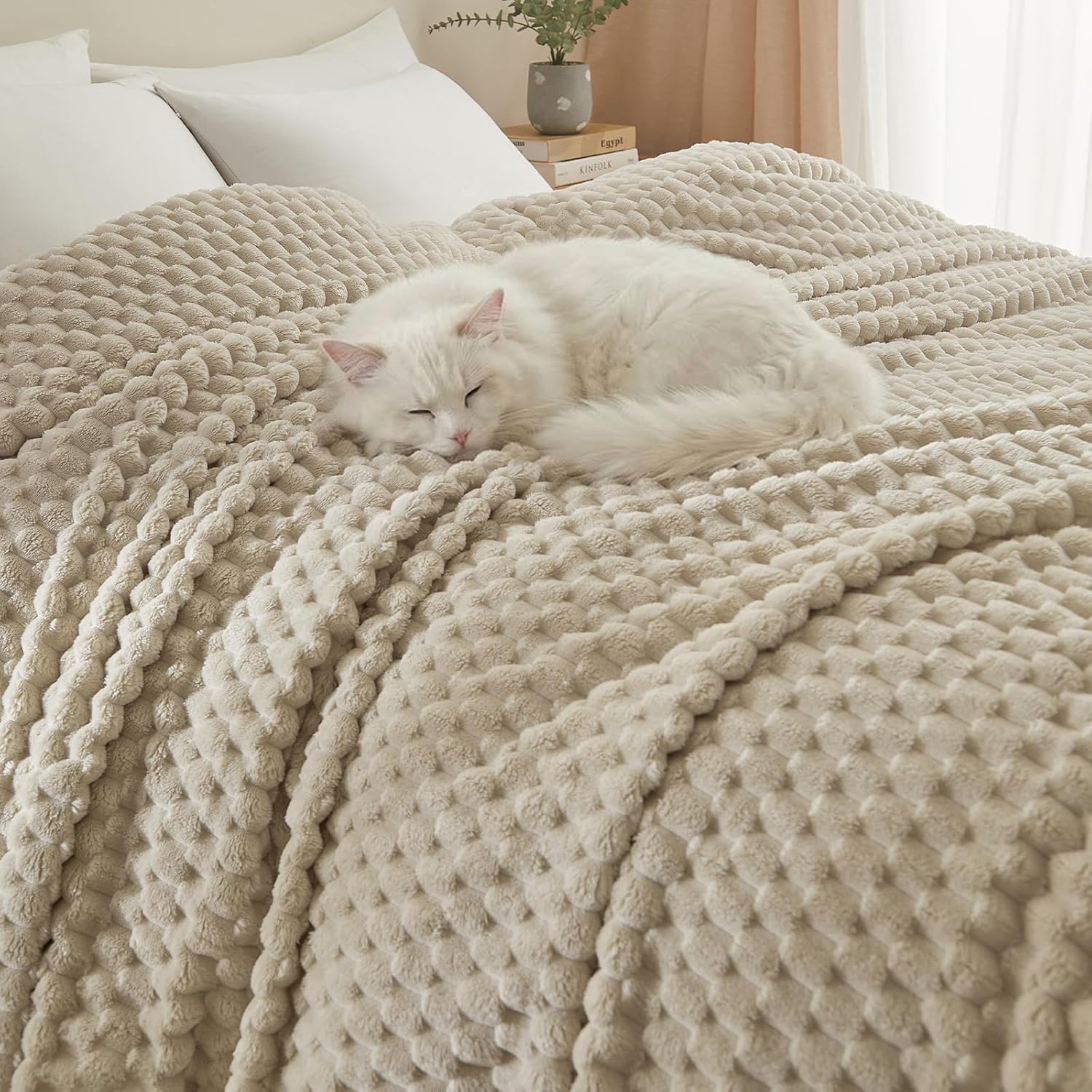 Luxe Beige Throw Pillow — 50" — Queen(90"x90")