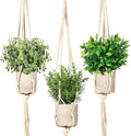 Boho Green Artificial Plant — Eucalyptusgreen
