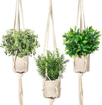 Boho Green Artificial Plant — Eucalyptusgreen