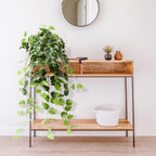 Artificial Plant - View 8