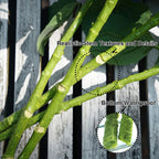 Blue Artificial Flowers - View 5
