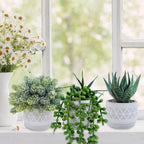 Boho Stone Faux Succulent — Set of 3 - View 8