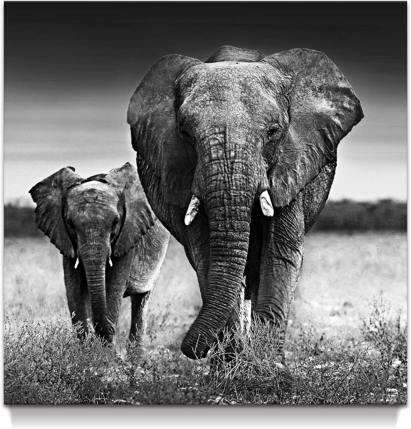 Farmhouse Black Wall Art — 16" — Black and White Elephant