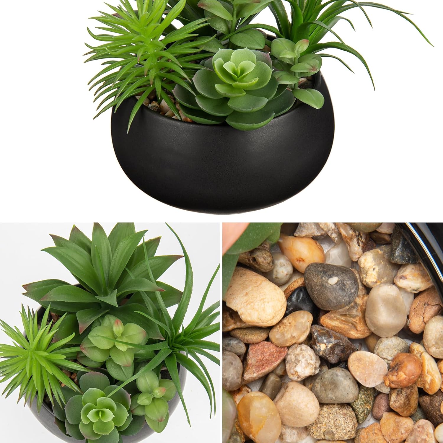 Black Faux Succulent - View 3