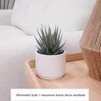 Beige Faux Plant — 6.7" - View 4
