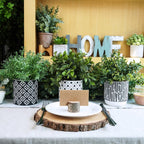 Modern Wood Artificial Plant - View 5