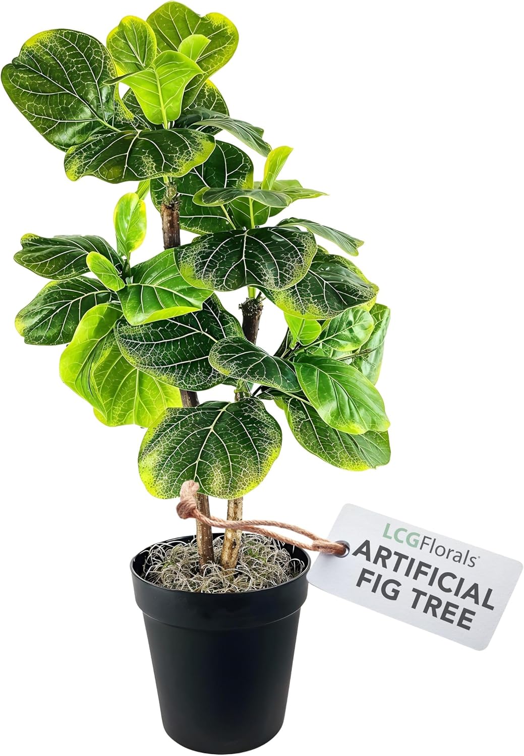 Boho Black Artificial Plant — Black Plastic