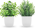 Farmhouse Faux Plant — 2