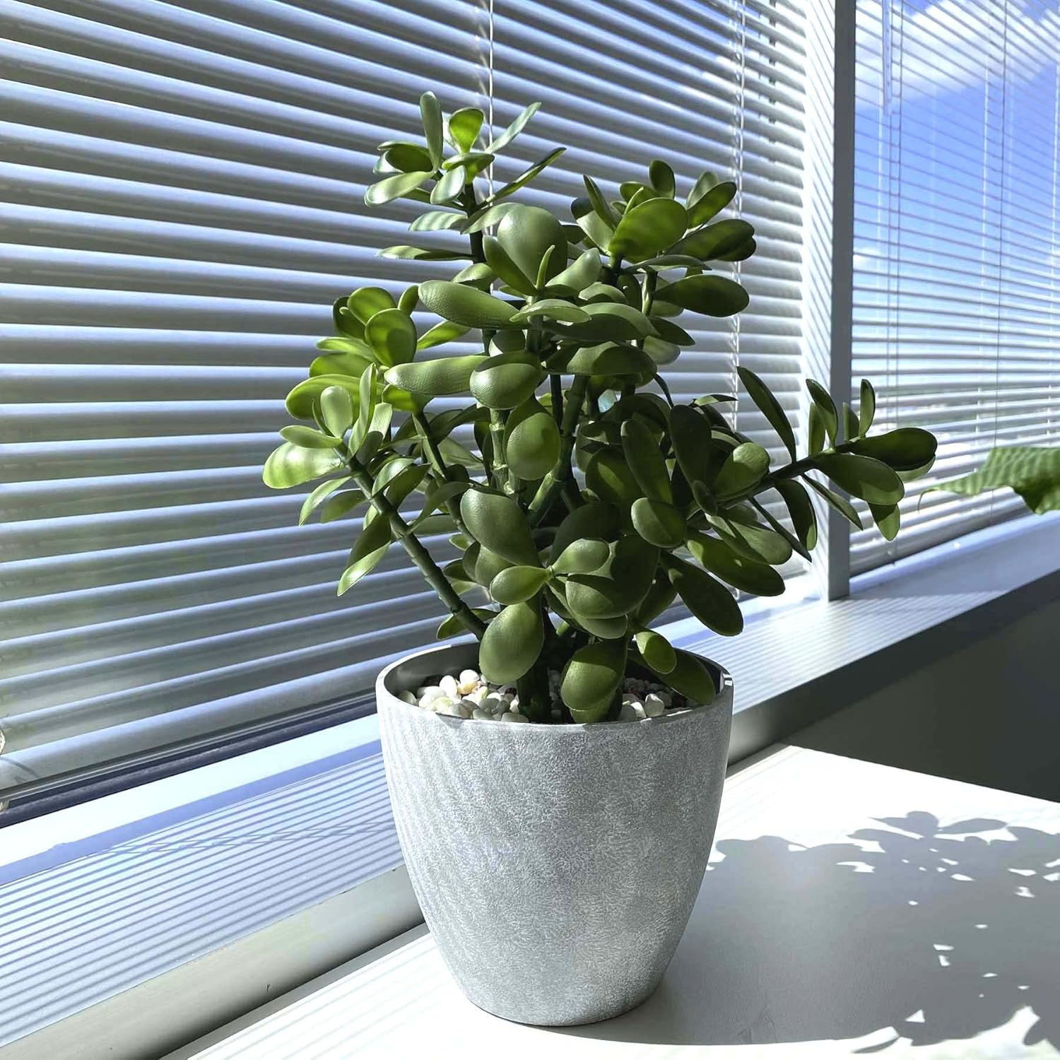 Artificial Plant - View 2