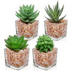 Glass Faux Succulent