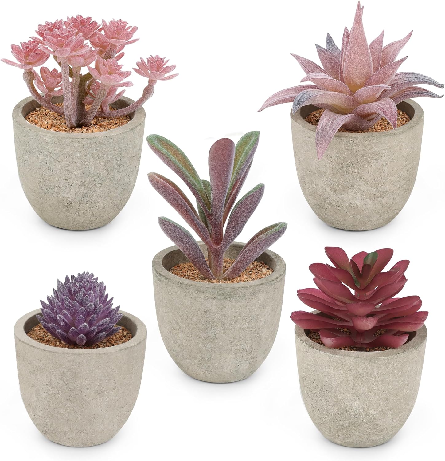 Green Faux Succulent — Set of 5 — Purple