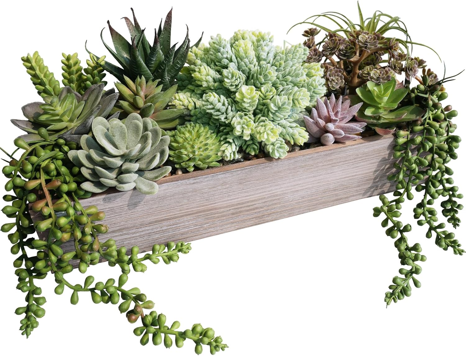 Rectangular Black Faux Succulent — 15" — Whitewashed