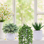 Modern Stone Faux Succulent - View 5