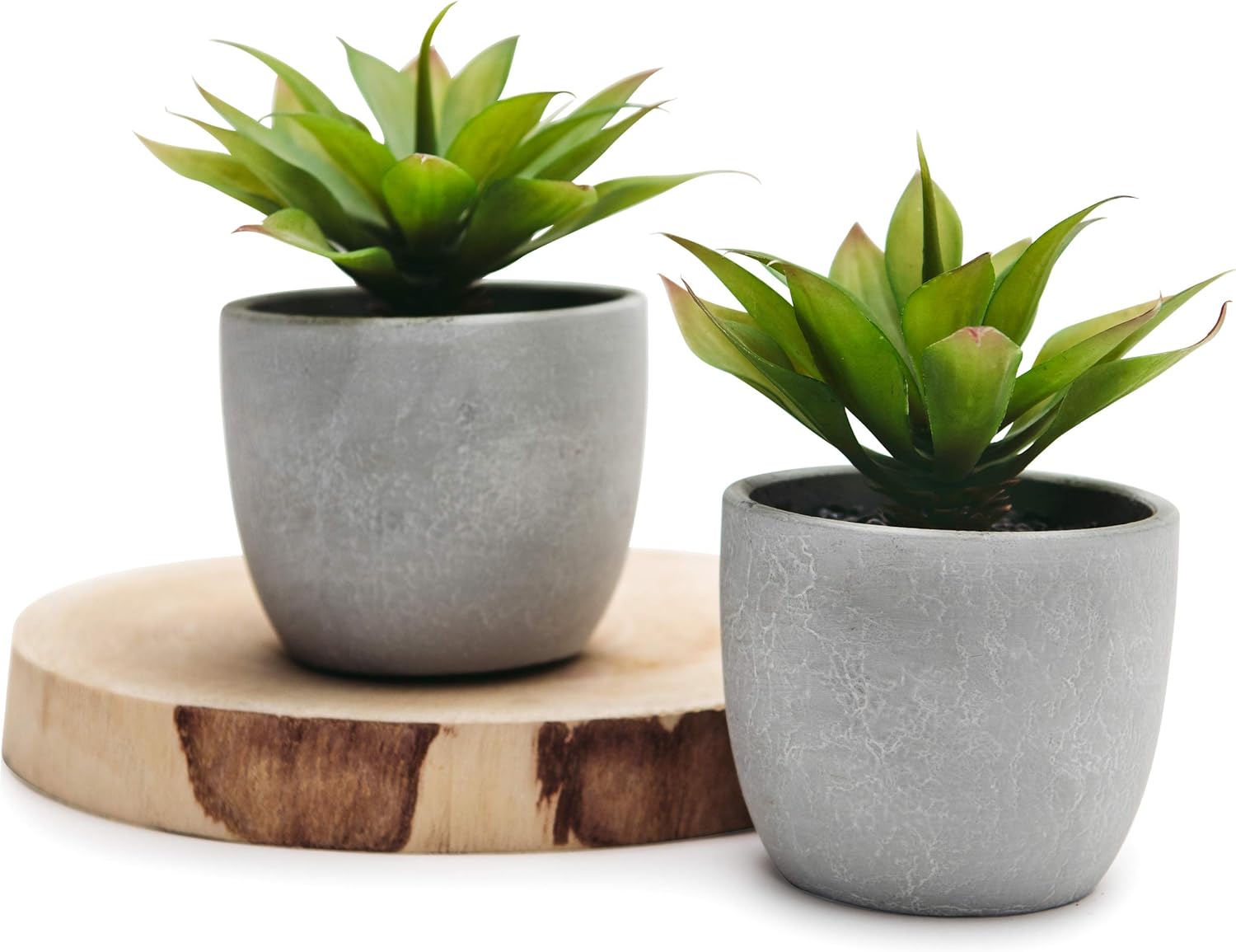 Farmhouse Faux Plant — Set of 2 - View 6