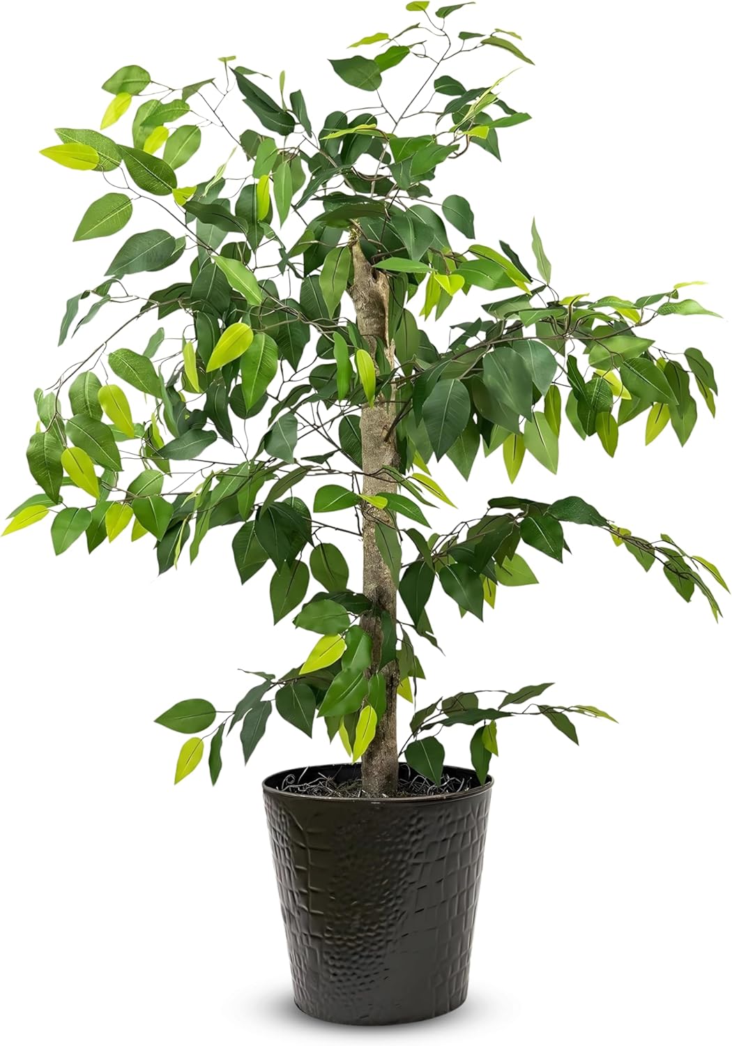Black Faux Plant — Black Metal