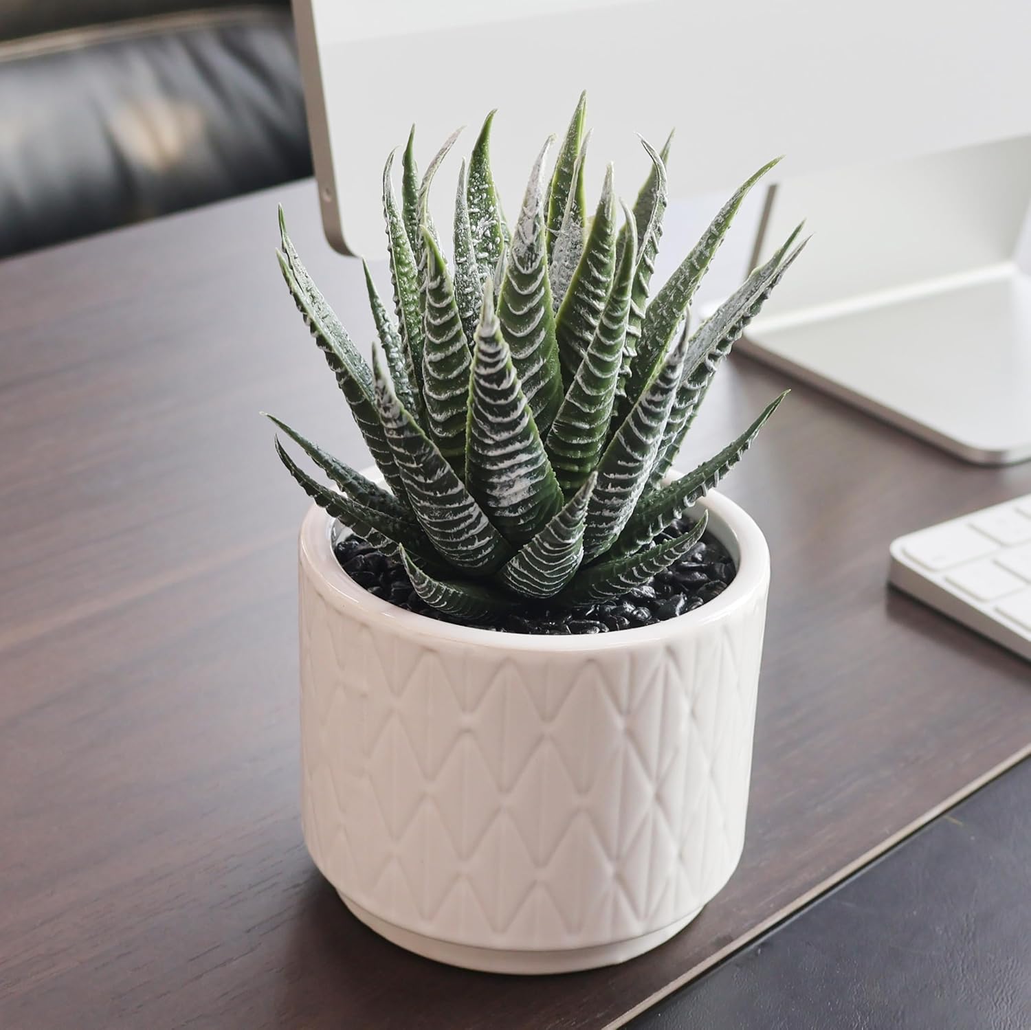 Beige Faux Plant — 6.7" — Natural Green Succulent in White Ceramic Pot