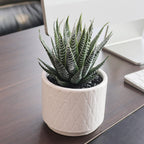 Beige Faux Plant — 6.7"