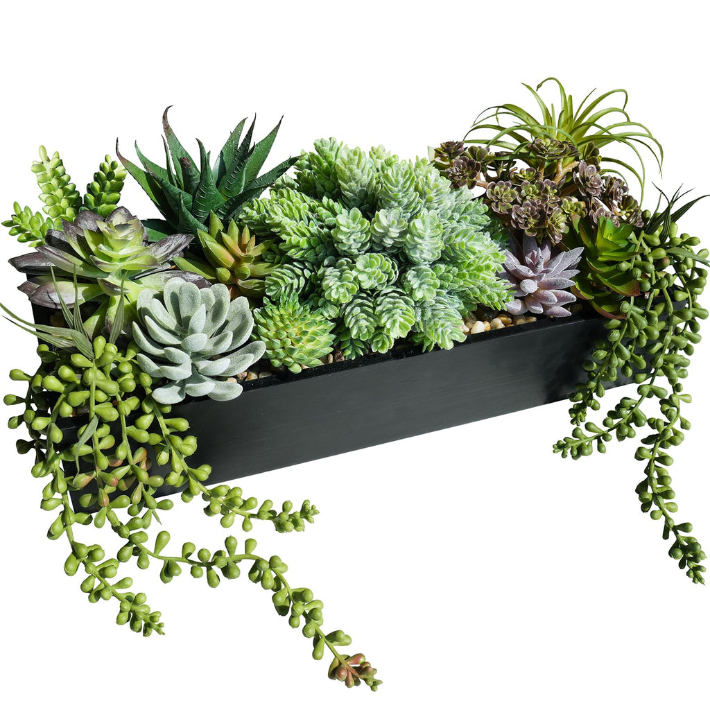 Rectangular Black Faux Succulent — 15"