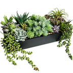 Rectangular Black Faux Succulent — 15"